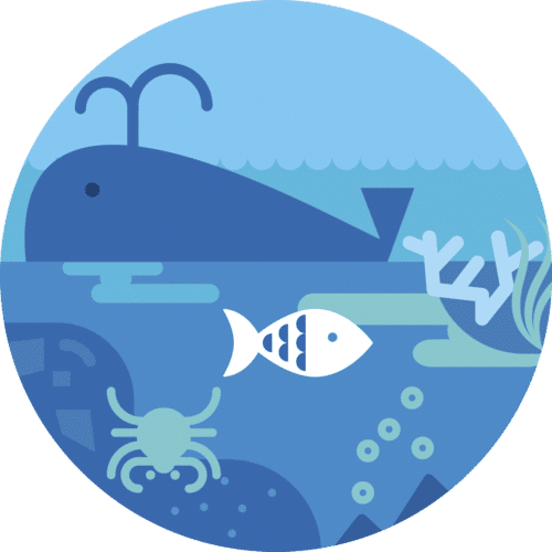 Principles - Ocean Literacy Portal