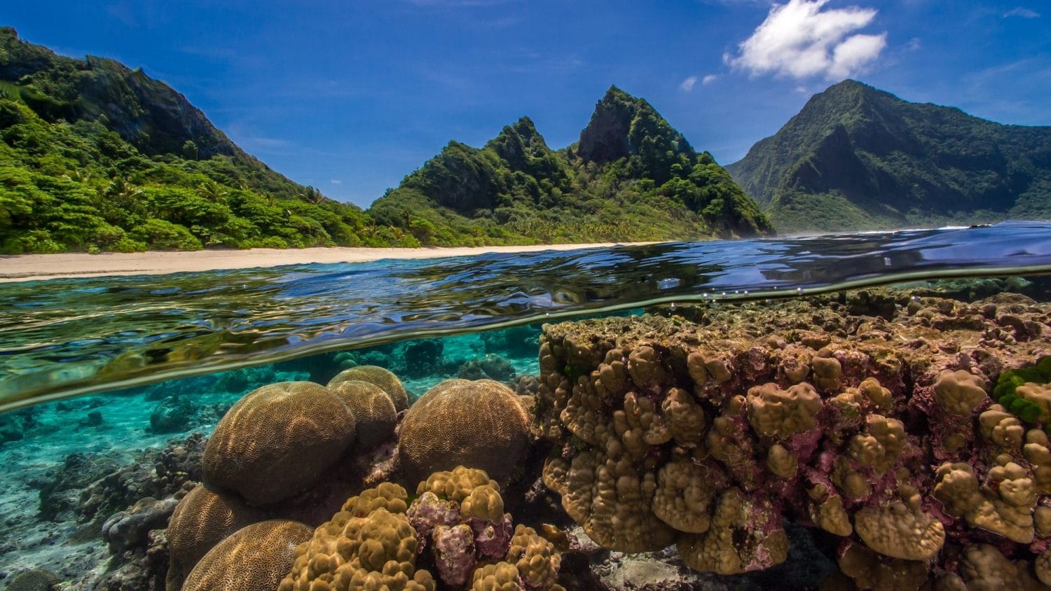 north-pacific-ocean-map-data-countries-climate