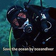 OCEAN4FUTURE Director